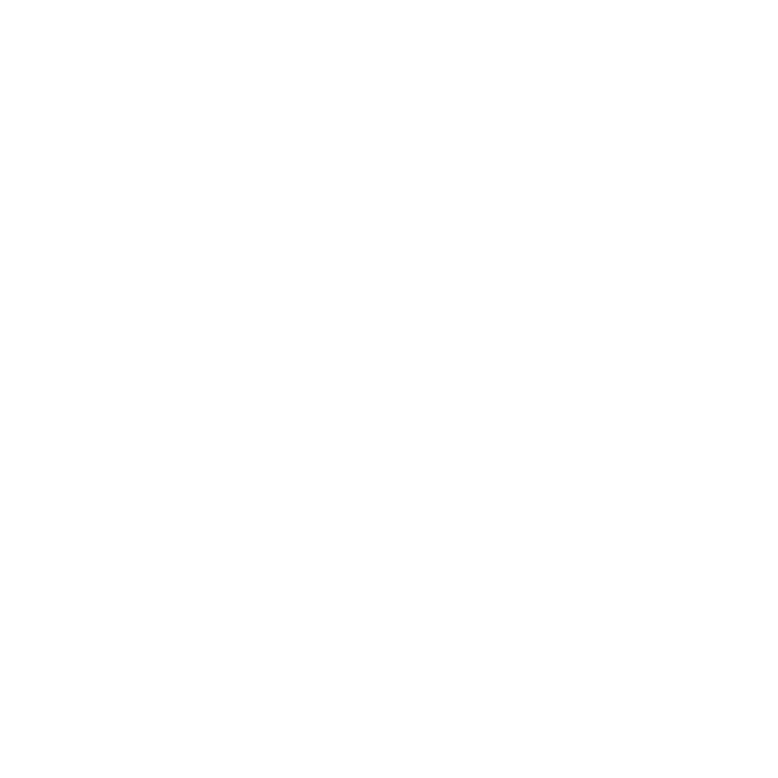 Synoet white logo with transparent background