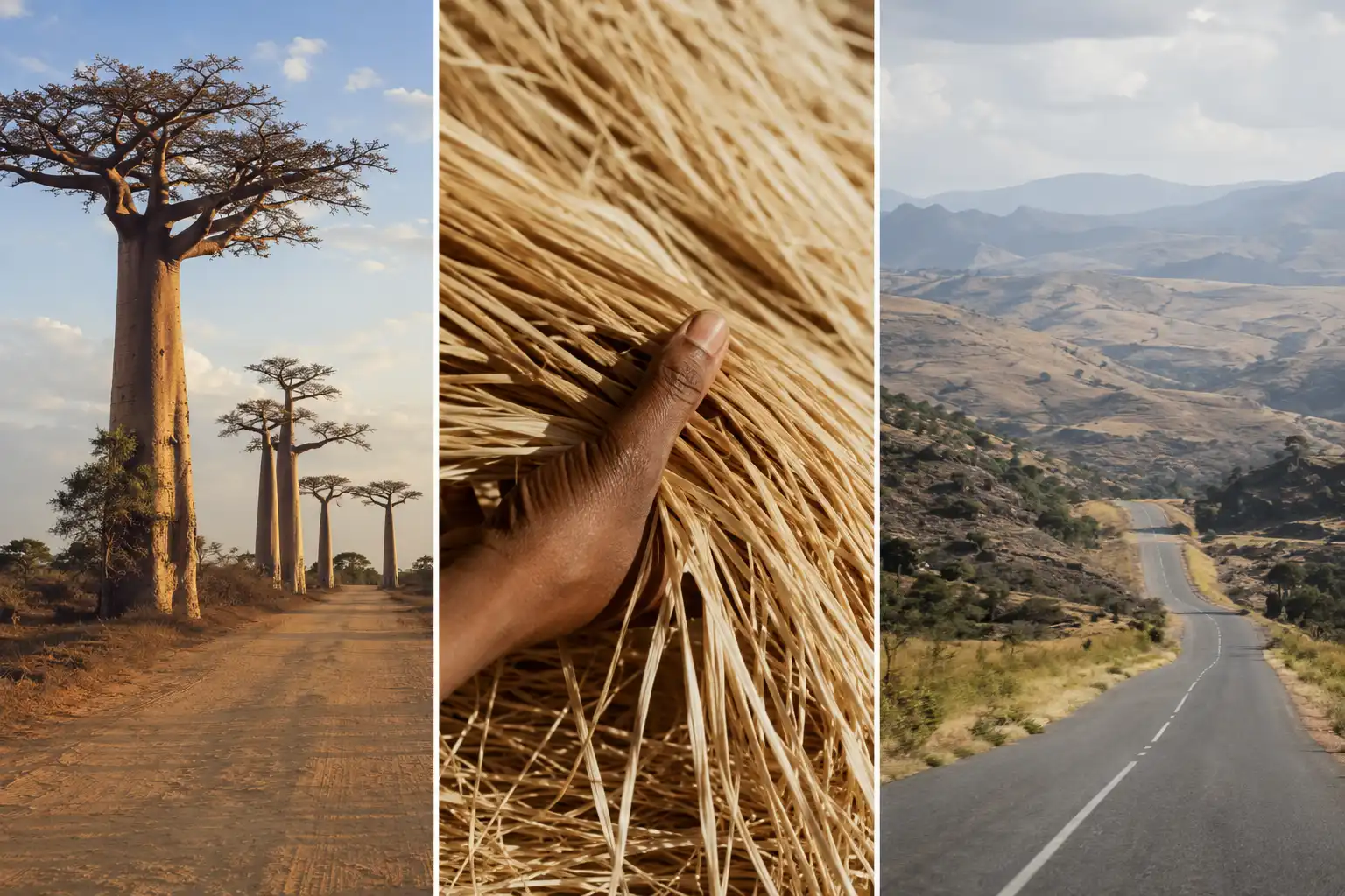 Three images: baobab trees along a dirt road, a hand grasping dry grass, and a paved road winding through a hilly, arid landscape.